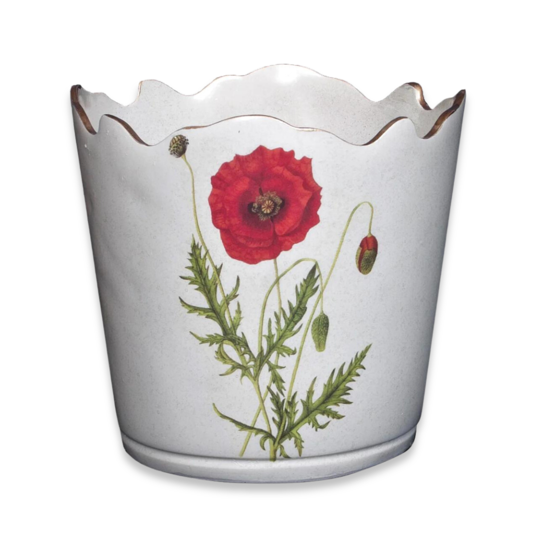 Scalloped Top Cachepot/Decorative Planter: Poppy